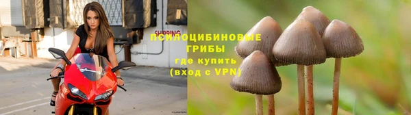 дурь Арсеньев