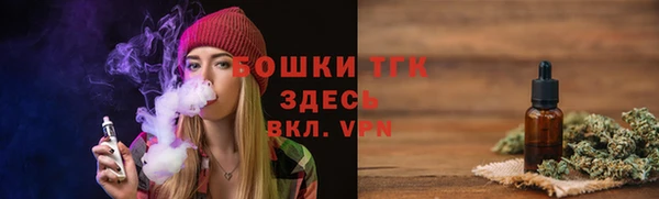 дурь Арсеньев