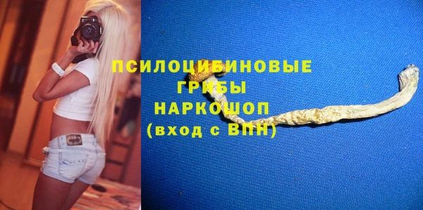 дурь Арсеньев